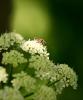 230510_t1.jpg