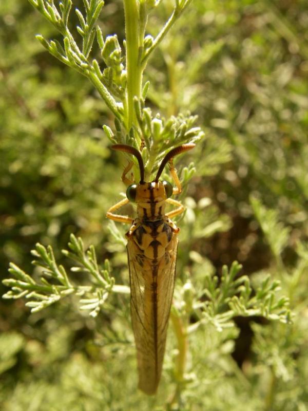 k1024_imgp0579.jpg