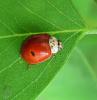 070521_t1.jpg
