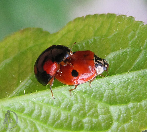 100526_1.jpg