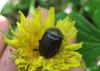 110514_t1.jpg