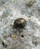 140523_t1.jpg