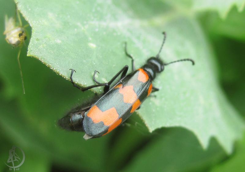 2012.05.13.114.jpg
