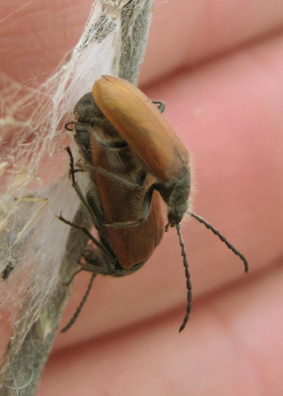 2012.05.13.130.jpg