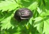 2012.05.16.23_t1.jpg