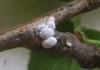 2012.05.26.114_t1.jpg