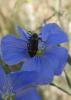 2012.05.26.116_t1.jpg
