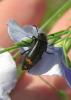 2012.05.26.117_t1.jpg