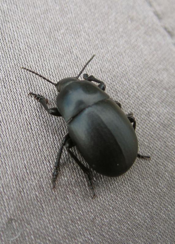 2012.06.16.100.jpg