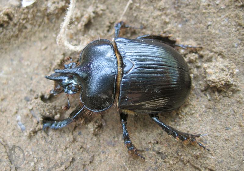2012.06.16.106.jpg