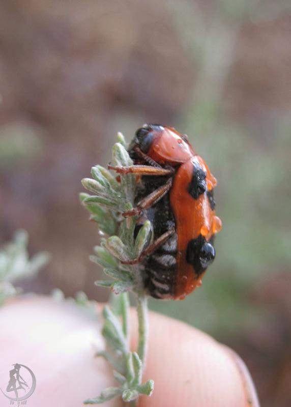 2012.06.16.134.jpg