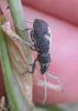 2012.06.16.141_t1.jpg