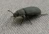 2012.06.16.78_t1.jpg