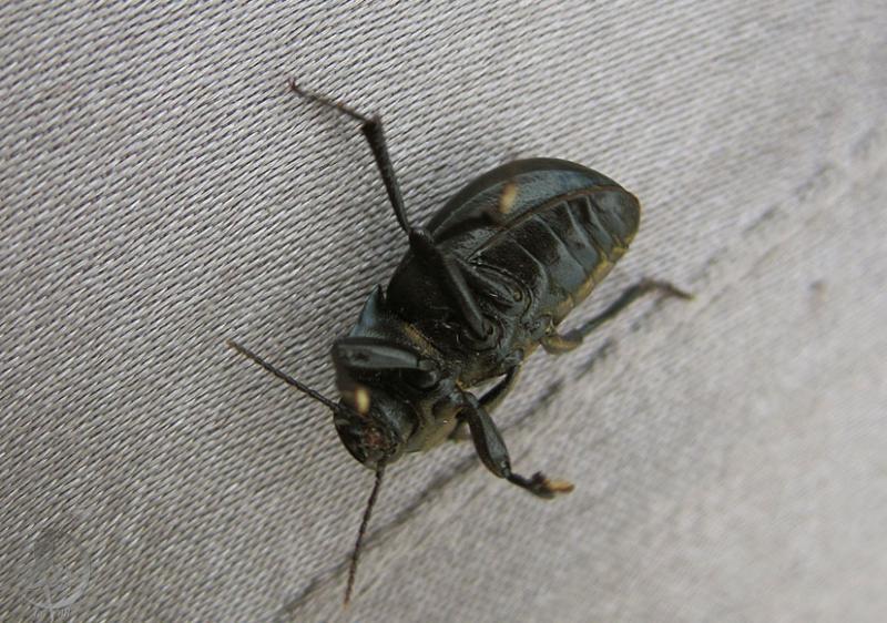 2012.06.16.97.jpg