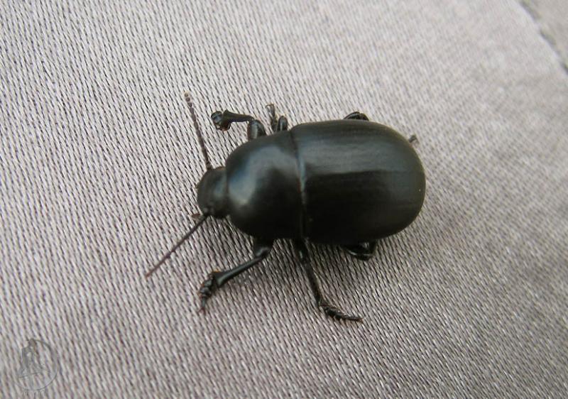 2012.06.16.99.jpg