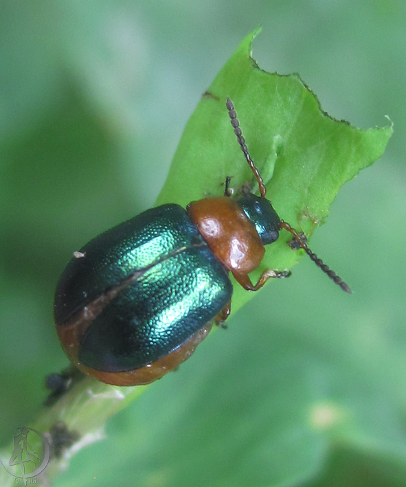 2012.06.22.14.jpg