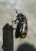 20120430.40_t1.jpg