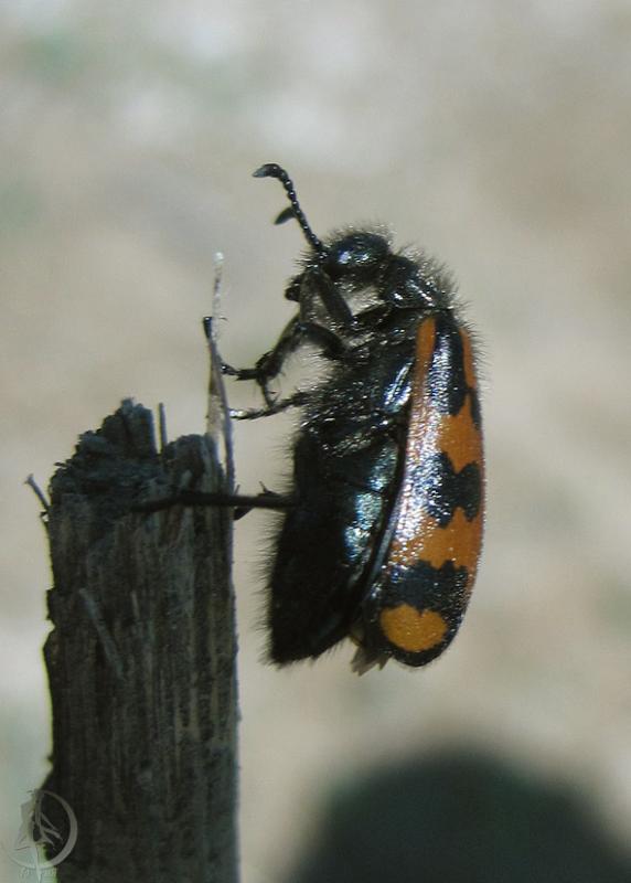 20120430.40.jpg