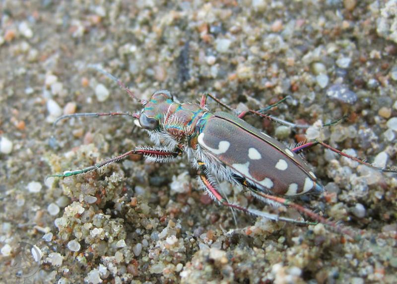 20120505.100.jpg