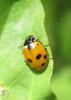 20120505.122_t1.jpg