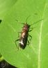 20120505.29_t1.jpg