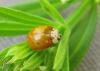 20120505.41_t1.jpg