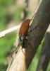 20120505.47_t1.jpg
