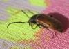 20120505.50_t1.jpg