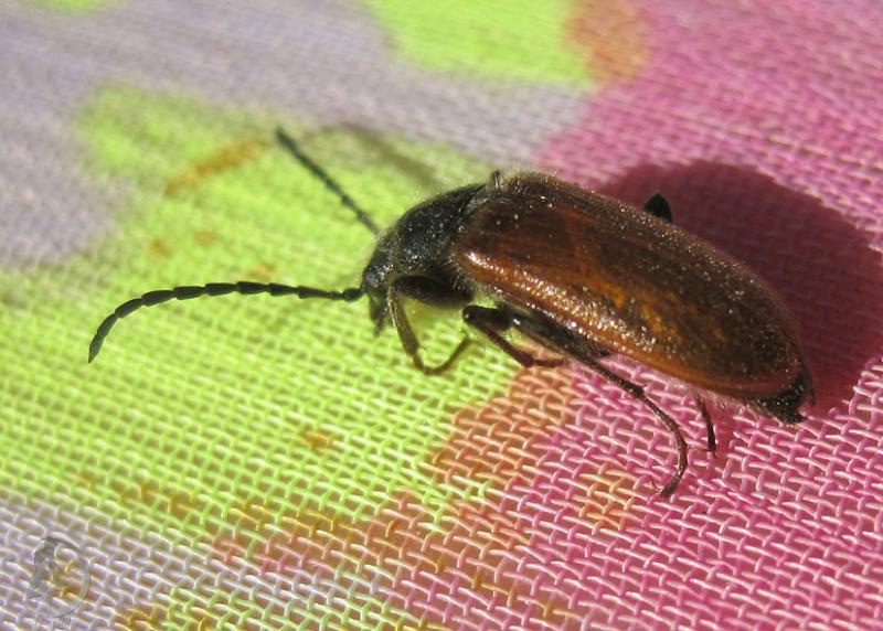 20120505.50.jpg