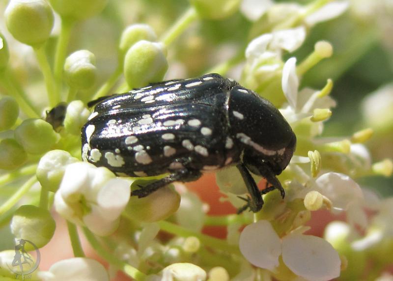 20120505.51.jpg