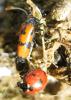 20120505.67_t1.jpg