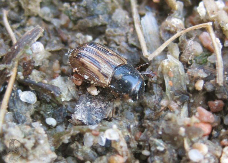 20120505.85.jpg