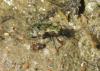 20120505.89_t1.jpg