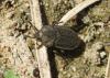 20120505.91_t1.jpg