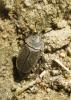20120505.93_t1.jpg
