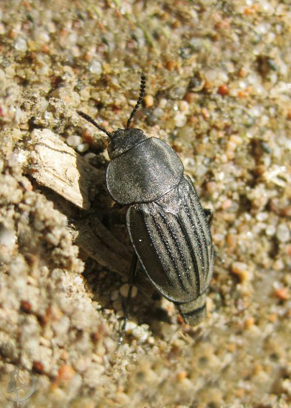 20120505.96.jpg