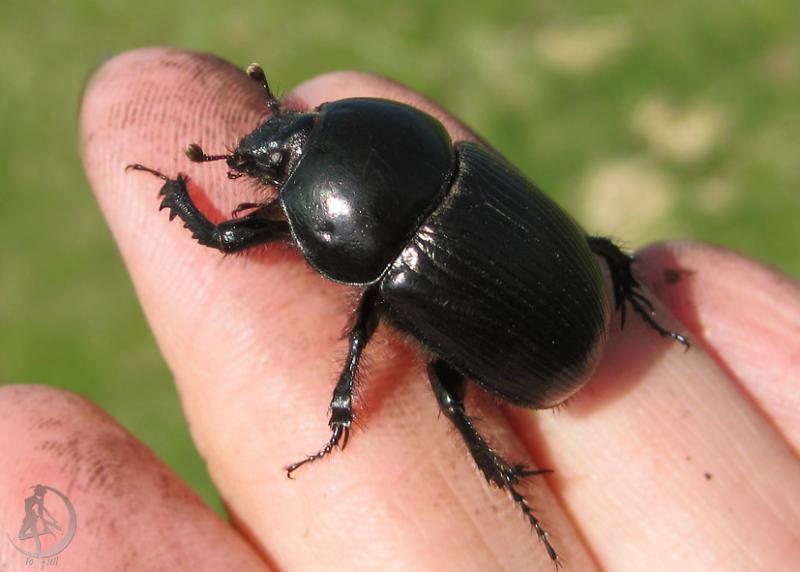20120623.17.jpg