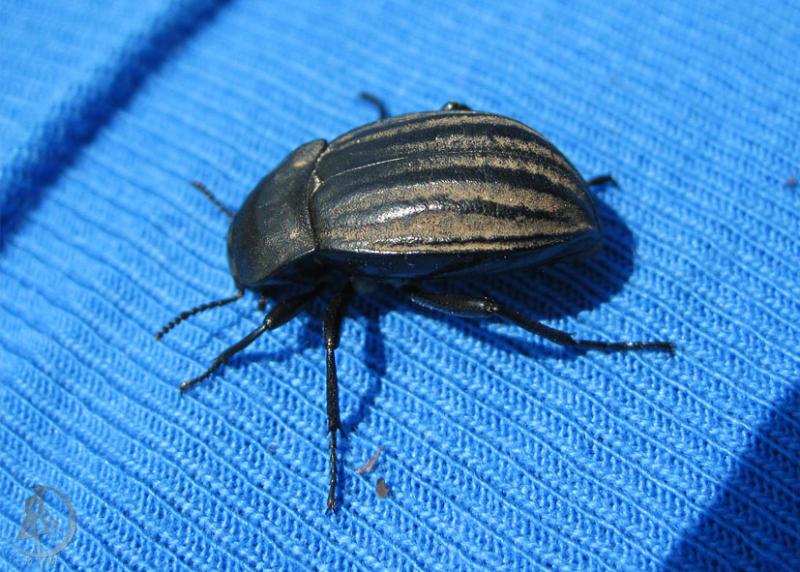 20120623.19.jpg