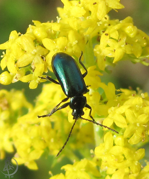 20120623.8.jpg