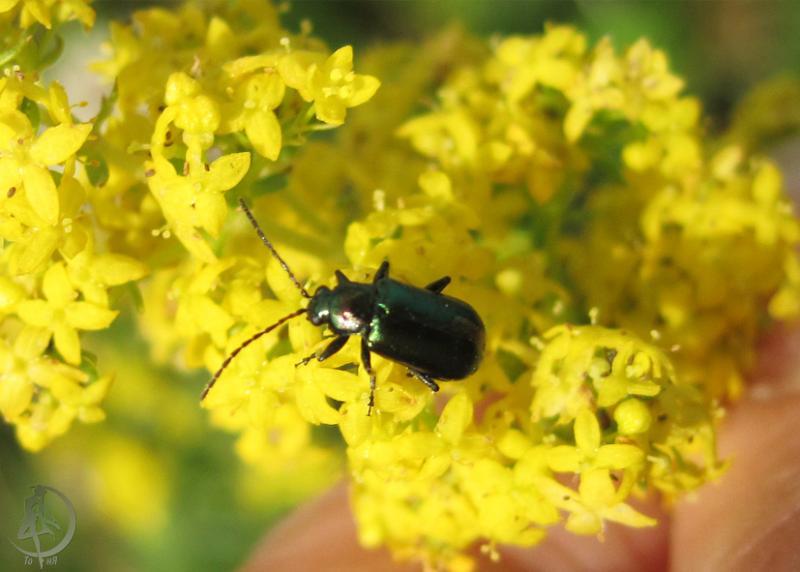 20120623.9.jpg