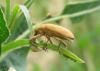 20120628.12_t1.jpg