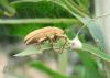 20120628.14_t1.jpg