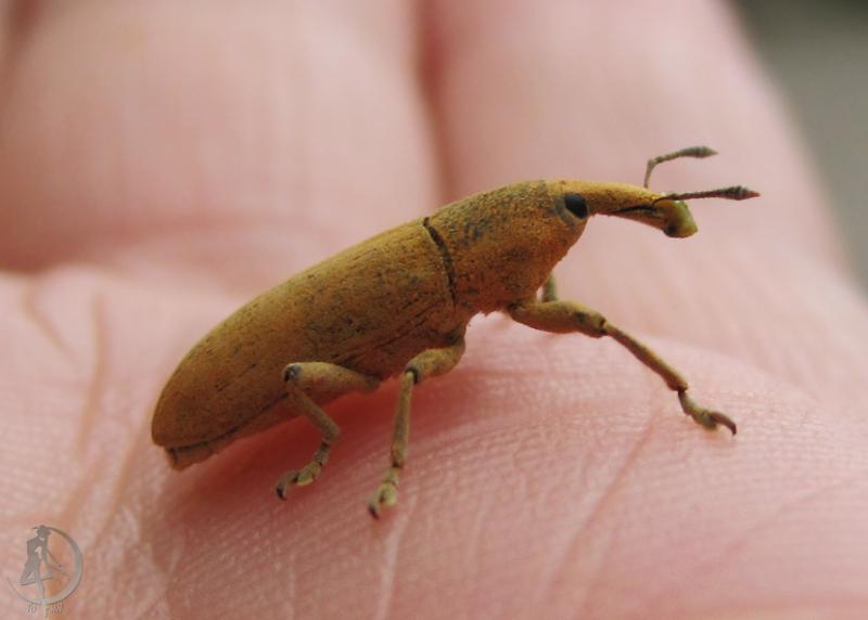20120628.16.jpg