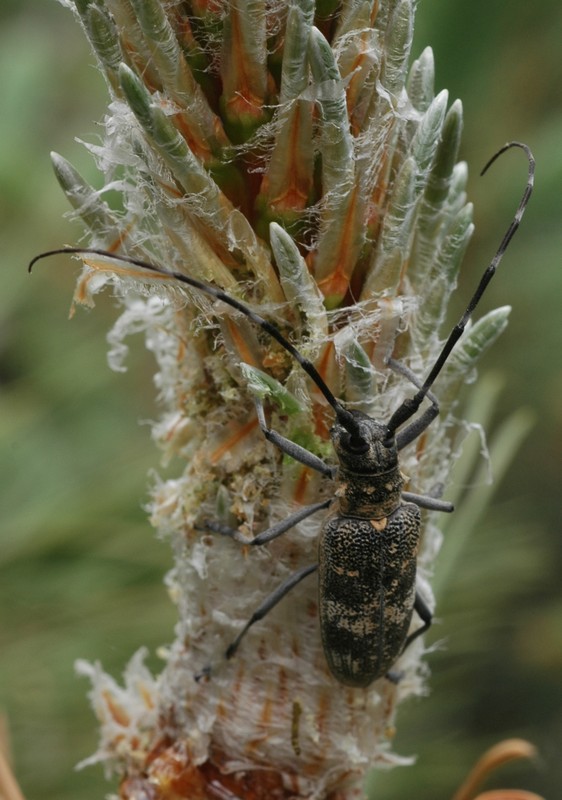 dsc_6157a.jpg