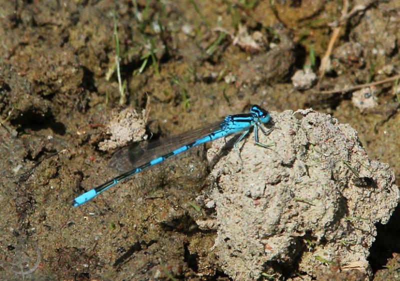 2012.05.26.156.jpg