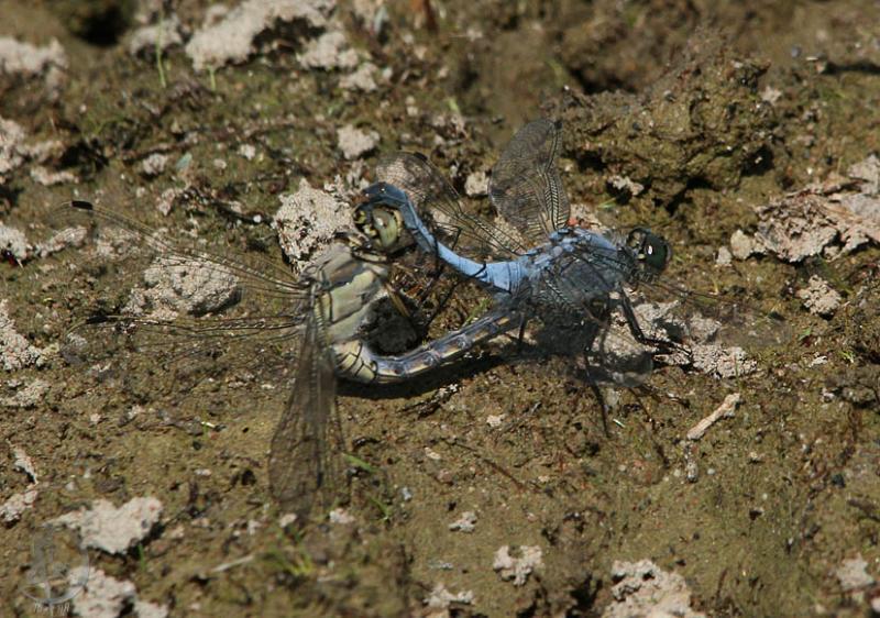 2012.05.26.157.jpg