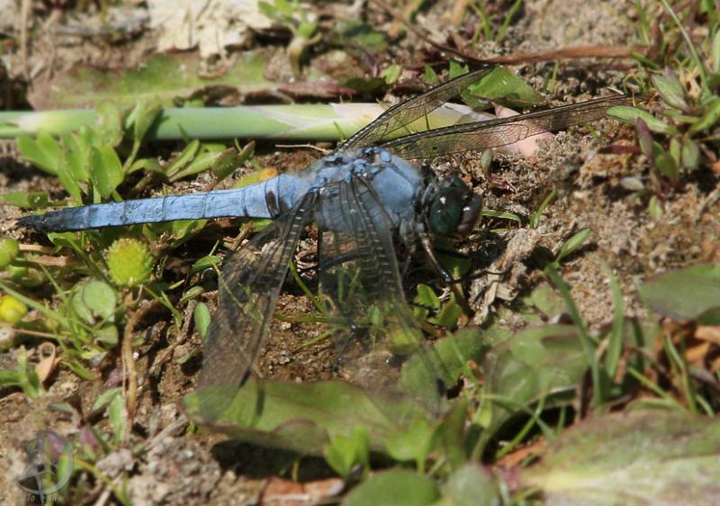 2012.05.26.158.jpg