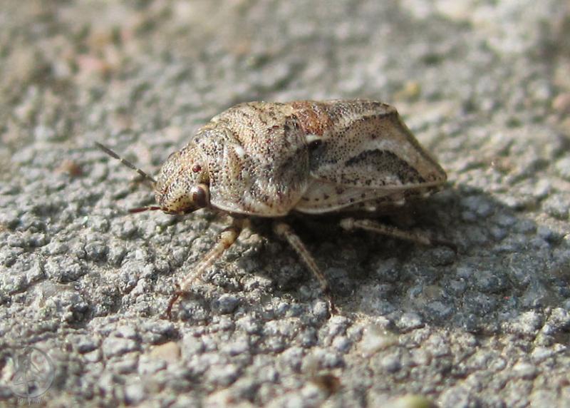 2012.06.22.20.jpg