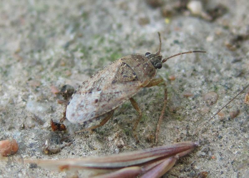 2012.06.22.26.jpg
