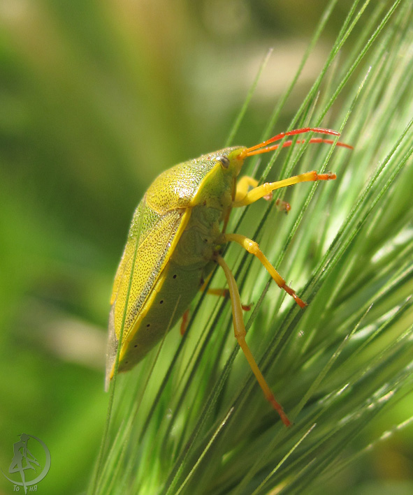 2012.06.22.36.jpg